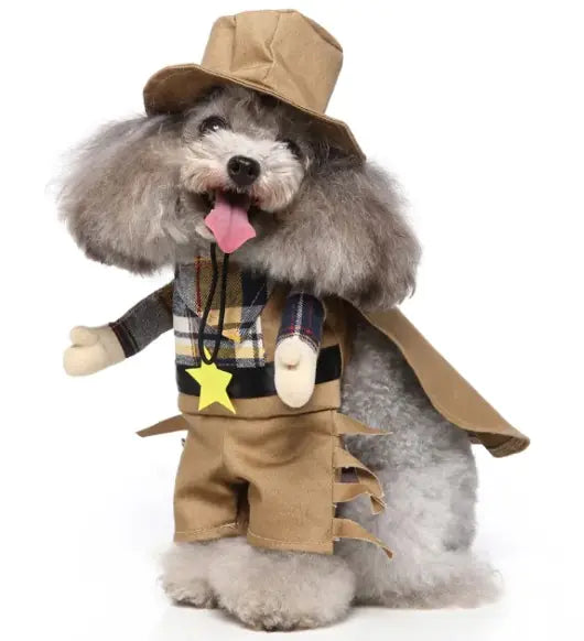 Adorable Pet Costumes