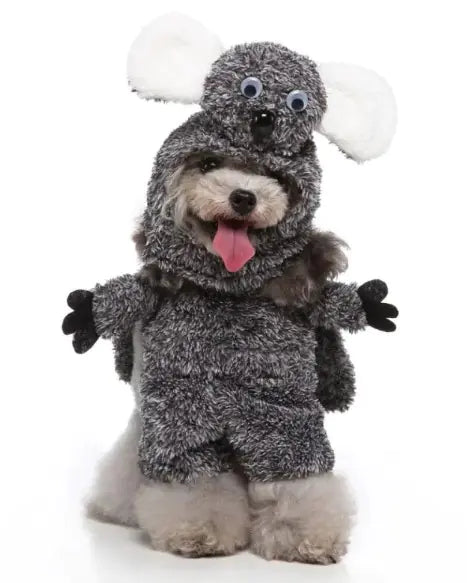 Adorable Pet Costumes