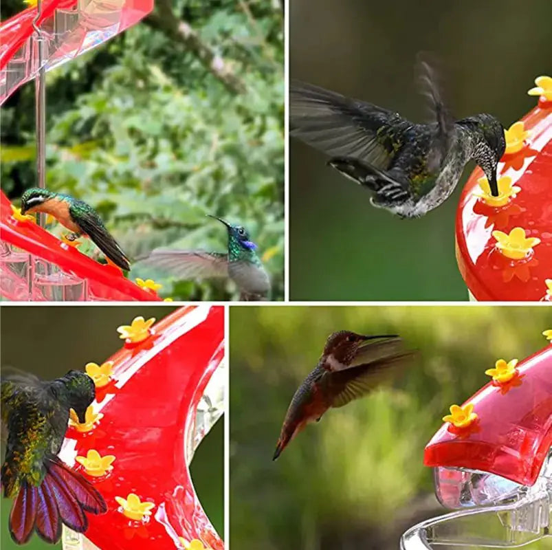 Helix Hummingbird Feeder