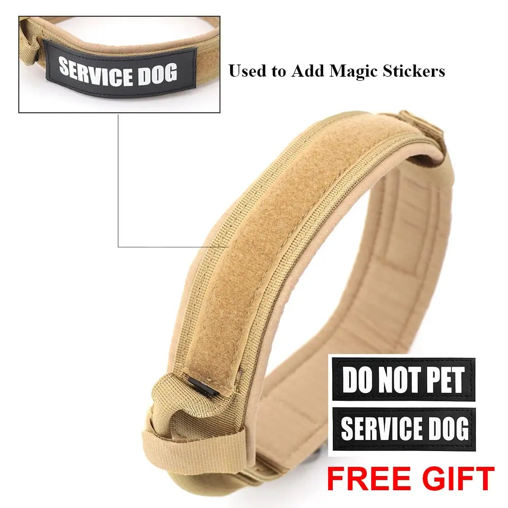 Fashion Dog Collar