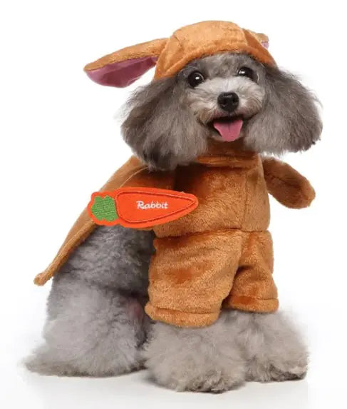 Adorable Pet Costumes